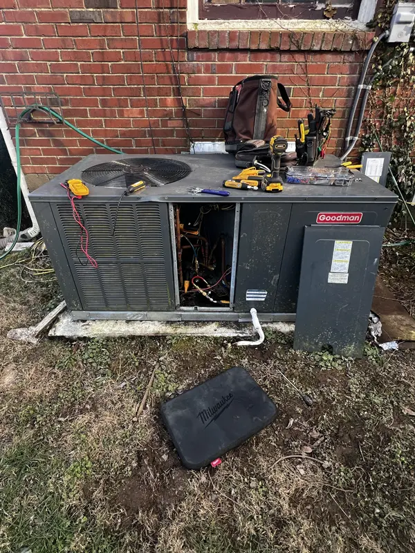 Goodman Service