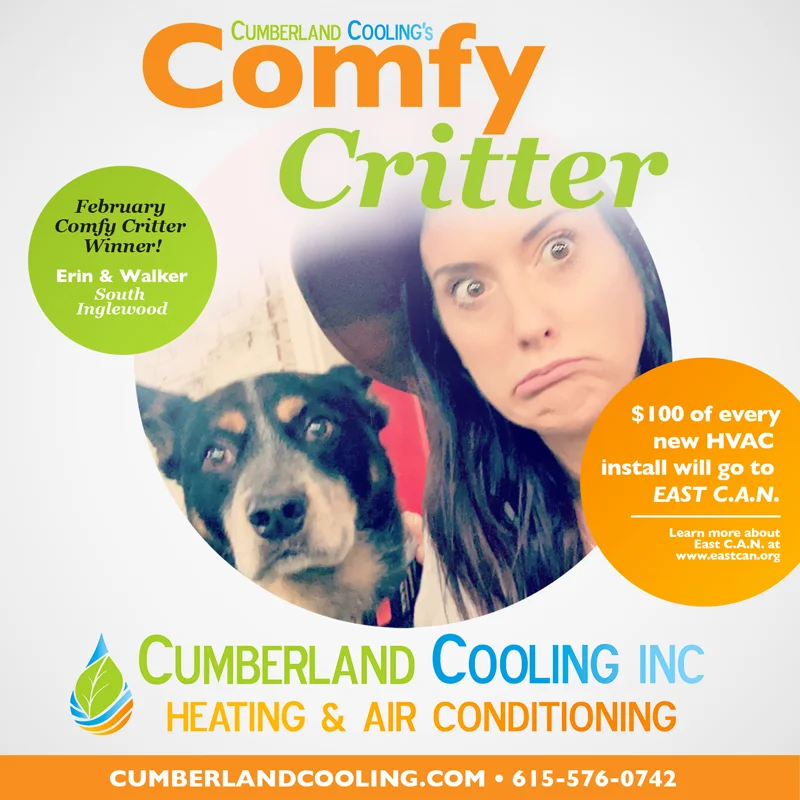 Comfy Critter